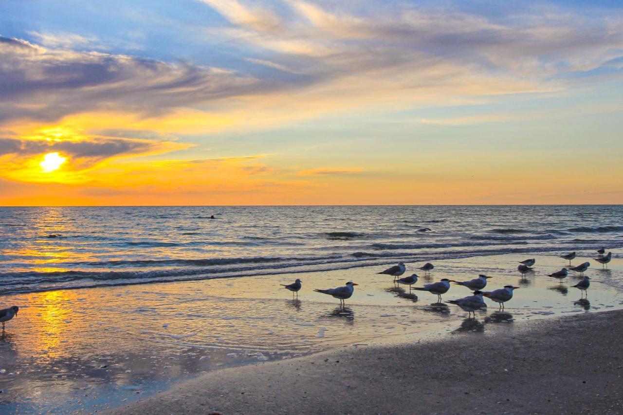 Madeira Bay Resort 508 St. Pete Beach Bagian luar foto